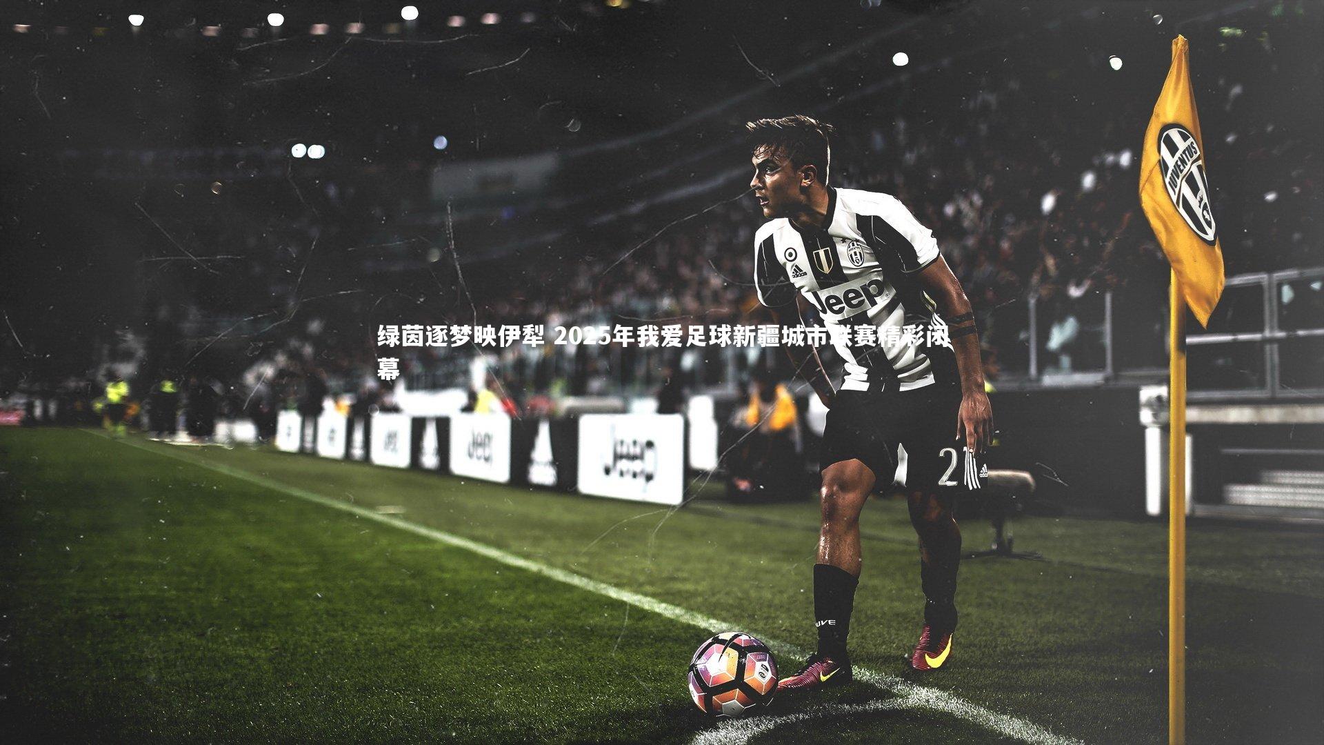 绿茵逐梦映伊犁 2025年我爱足球新疆城市联赛精彩闭幕